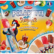 돌핀 폴라레티 해피썸머 얼려먹는 아이스바 10p, 6개, 400ml