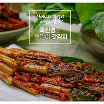 종말이 곽진영 여수 돌산 갓김치 3kg, 갓김치 3kg+3kg