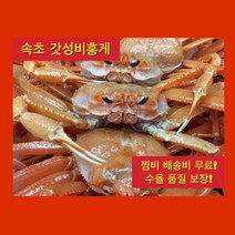 [품질보장] 속초가성비 자숙홍게 2.5kg 6~10미 22 900원, 1개, 2.5kg (6~10미)