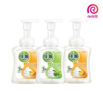 데톨 애플 포밍 항균 핸드워시 250g x3개 외1종 손세정제 핸드솝 거품비누 거품 손세정제, 01)애플 250g x3개