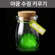 지구모양 야광(축광) 스티커(10cm)R-JTS
