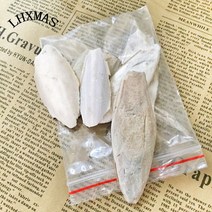 갑오징어뼈 LHXMAS PET STORE 1 세트 애완용 조류 먹이 오징어 뼈 장난감 앵무새 거북이 D119, 01 White