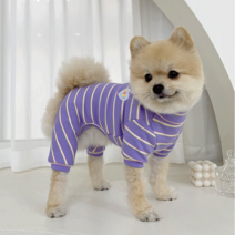 스트라이프 올인원 강아지옷 사계절 데일리 강아지 티, 퍼플