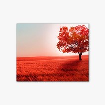 [에이블밤부] 캔버스 사진 작품 인테리어 액자 STOCK image 205