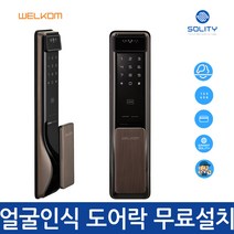 [A지역설치] 웰콤 WSP-2900A 안면인식 푸시풀 도어락 (얼굴인식 카드키 비밀번호) 현관문도어락272500 L6, A지역설치272500 L6