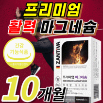 독일 마그네슘 홈쇼핑 잔티바 마그내숨 마그네시움 마그네슝 신경 근육경련 혈액순환 한쪽 눈꺼풀 눈밑 눈가 떨림 남성 여성 청소년 임산부 영양제 개별 포장 식약처 인증 식약청 인정, 300정 / 10개월