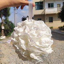 귀여운 레이스 소프트 스폰지 목욕 공 샤워 문질러 목욕 샤워 워시 바디 포트 스폰지 스크러버 화이트 컬러 내구성 건강한 마사지 브러쉬, 블루