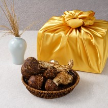 자연산 송이버섯 생송이버섯 선물세트 설 추석 명절 선물용, 1박스, 3품 1kg