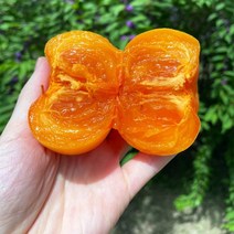 달콤한 청도반시 씨없는 감 홍시 연시, 1개, 청도반시 5kg 중과(45과 내외)