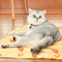 대형견 반려견 강아지 고양이 쿨매트 여름방석 60x45, 2-펫쿨매트L-옐로우