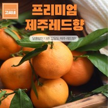 고씨네 프리미엄 레드향3kg 한라봉 천혜향 제주감귤레드향 천혜향 한라봉 제주한라봉 제주천혜향 한라봉제철 제주도한라봉 제주레드향 제주도레드향 천혜향제철, 본상품, free