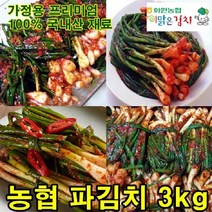 핫한 이맑은김치파김치 인기 순위 TOP100 제품 추천