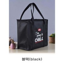 보온보냉가방 보냉가방 보온가방 캐주얼가방 아이스크림가방 음료수가방 아이스백 아이스가방, LD-131 CHILL 보냉보온가방/블랙