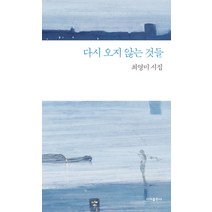 다시 오지 않는 것들:최영미 시집, 이미, 최영미