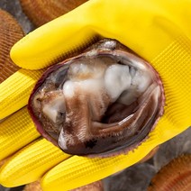 대한민국농수산 딱 한철만 나오는 귀한 손질 새조개 특품 500g 샤브샤브, [특품] 손질 새조개 500g, 1개