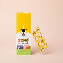 강아지진드기퇴치제 모기 해충방지 스티커 초경량 기피제 10팩 박스세트