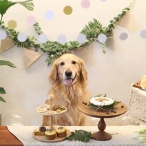 [그냥점례] 너를 그린 강아지 생일케이크/생일파티, 03_강아지 얼굴 케이크(중) 오리고기