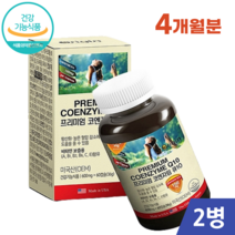 프리미엄 코엔자임 큐텐 Q10 60캡슐 2개월분 코큐텐 항산화 혈액 순환 혈행 개선 높은 혈압 감소에 도움 영양제 유비퀴놀, 2개