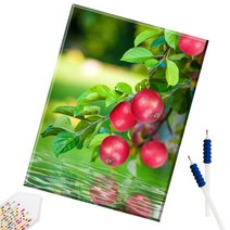 SHEXIU 3D 원형 보석십자수 캔버스액자 DIY 키트 50 x 40 cm, SX056  물 위의 빨간 사과x1세트