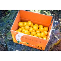 제주땡큐베리팜 22년 싱싱 달달 제주 노지 감귤 5kg 10kg 박스, 감귤 5kg(로얄과 S/M)