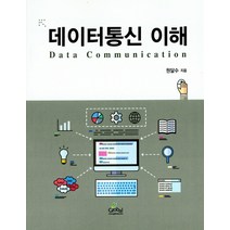 데이터통신 이해, 글로벌