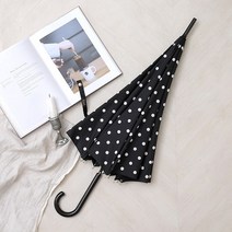 까르페디엠 숲도트 장우산