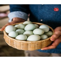정진푸드몰 산지직송 자연방목 난각번호1번 청계란 [20구/ 30구/ 40구] 초란 청란 청계알 청계유정란, 청계란 30구