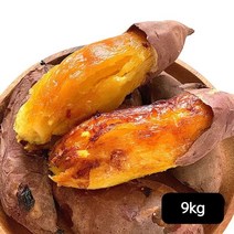 해남고구마 다모 해남 꿀고구마 9kg(4.5kgX2박스), 단일옵션