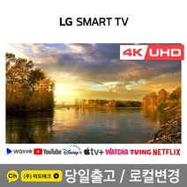 LG 43인치 4K 스마트 UHD TV 43UP7100 초고화질, 3. 지방권역 스탠드 +HDMI 2.0