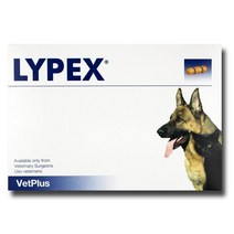 (킹펫) 벳플러스 vetplus 라이펙스 60캡슐 췌장