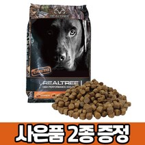 리얼트리 하이퍼포먼스 15kg 대용량 대형견 강아지 대포 사료, 라지바이트, 브랜드사료샘플 5개, 대단한 육포 100g