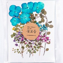그린팜네이처 꽃보듬 압화-세트, 세트2(안개꽃+수국+이파리)