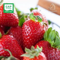 [웰굿][GAP인증] 산지직송 논산 딸기 설향 800g(35과 특과)