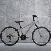 2023 알톤 라임스톤1.0 24 인치 알루미늄 시마노 21단 초등학생 MTB 자전거, 무광레드