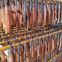 구룡포과메기 과메기철 햇과메기 과메기맛집 포항과메기, 1박스, 가족용과메기세트