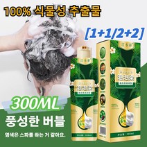 [1+1] 100% 식물성 추출물 흰머리 커버 컬러 버블 염색제 거품 염색약 화이트 헤어 커버링 300ML, 커피*1+내추럴 블랙*1