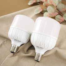 더브라이트 LED 하이벌브 40W/50W E39, 40W(주광색)
