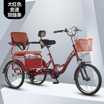 성인자전거 세발 어른 삼륜 3발 Wyj 페달 자전거 인간 더블 가변, 9.1