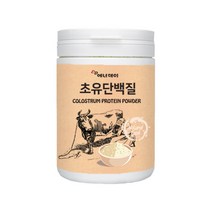 초유단백질 분말 농축유청단백질 유산균 WPC 초유단백 단백질보충제 대두단백질 프락토올리고당 아르지닌 비타민C 프로틴 파우더 가루 보충제 추천 효능, 1개