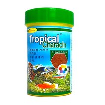 트로피칼 카라신 41g /제브라 다니오 지브라 피시 디스커스 열대어 치어 물고기 금붕어 붕어 관상어 먹이 밥 피쉬 소형