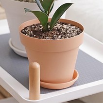 사무실 이전선물용 미니화분 작은화분 집꾸미기, 화이트