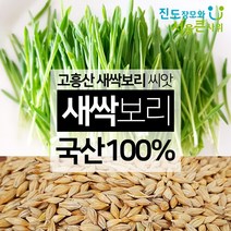 국내산 새싹보리씨앗 가정용 키우기 종자 겉보리 [21년 갓수확한 고흥산] 진도장모와 서울큰사위, 1개, 2kg