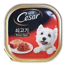 시저 쇠고기 100g x 1캔 애견 강아지 사료 코스트코