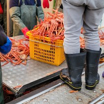 [JJ에 포항 홍게] 포항 구룡포 연지 자숙홍게 일반용, 연지 자숙홍게 2kg (6~8미)