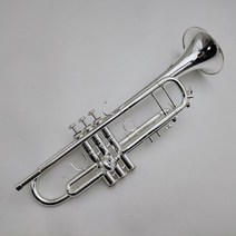 심벌즈 심벌 드럼 바흐 트럼펫 lt180s-37 bb tune 은색 도금 전문 악기 케이스 마우스피스 액세서리, 밝은 회색