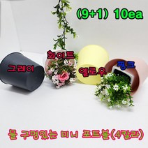 (샤인 몰) 물 구멍있는 8cm 포트볼 10개 /플라스틱 화기 화병/색상4칼라/화사한 봄 맞이 화분장식/국산, 화이트