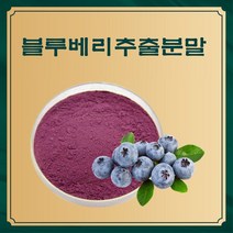 엔트코 블루베리농축분말 1kg, 단품, 단품