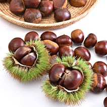 2023년 햇밤 홀라당 군밤 포르단 뜨래밤 국산밤, 공주알밤(대)_칼집없음 1kg
