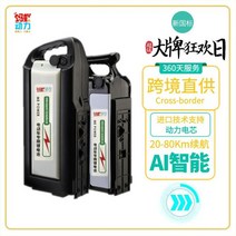 48v 리튬 배터리 전기 자전거 12ah Emma 대만 벨 Yutu Xinri 공장 직접 판매 범용, 스마트 버전 48V12AH 무료 충