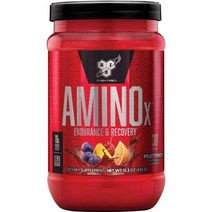 BSN 아미노X BCAA 아미노 무설탕 프루트펀치